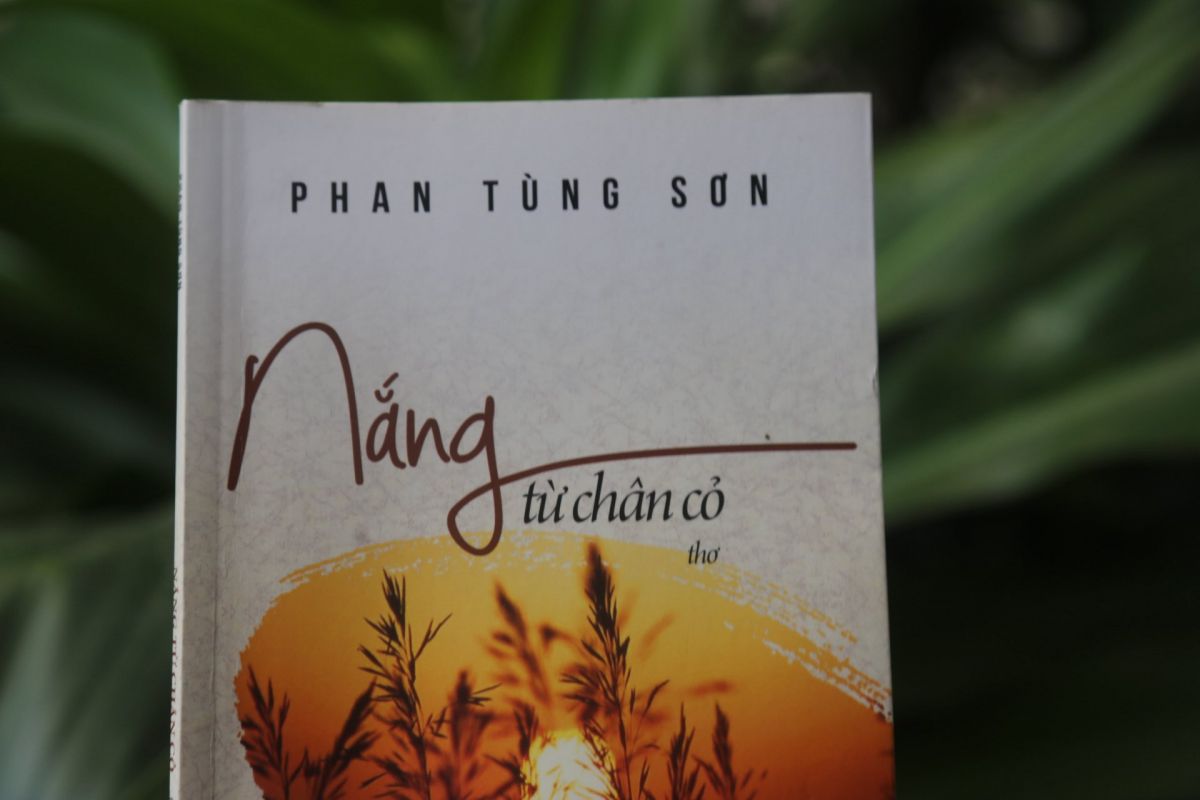 ''NẮNG TỪ CH&Acirc;N CỎ'' - KHI SỰ TĨNH LẶNG CŨNG ĐẸP RỰC RỠ