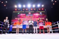 Giải Quyền Anh - Kickboxing Ngôi Sao Gia Định mở rộng lần 2: 40 võ sĩ tham gia thi đấu Mừng Đảng - Mừng Xuân Giáp Thìn 2024