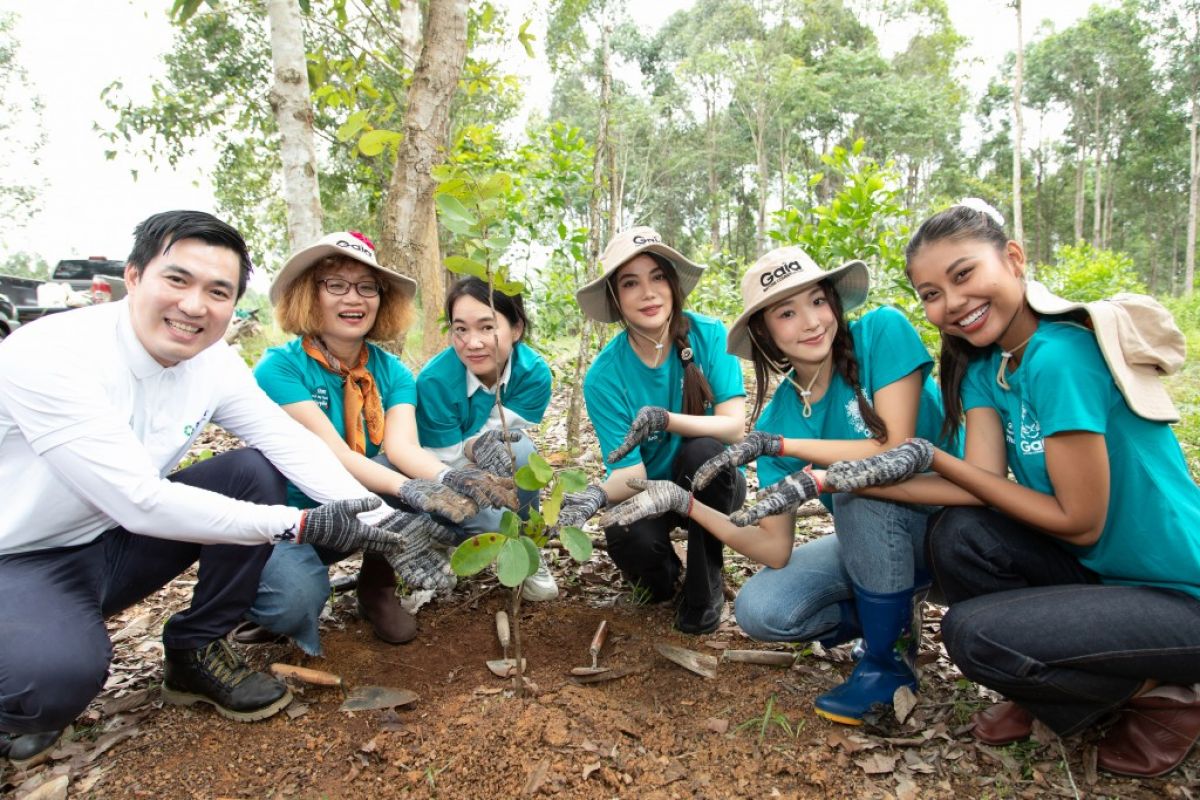Miss Earth 2022 Mina Sue Choi chung tay trồng rừng tại Việt Nam